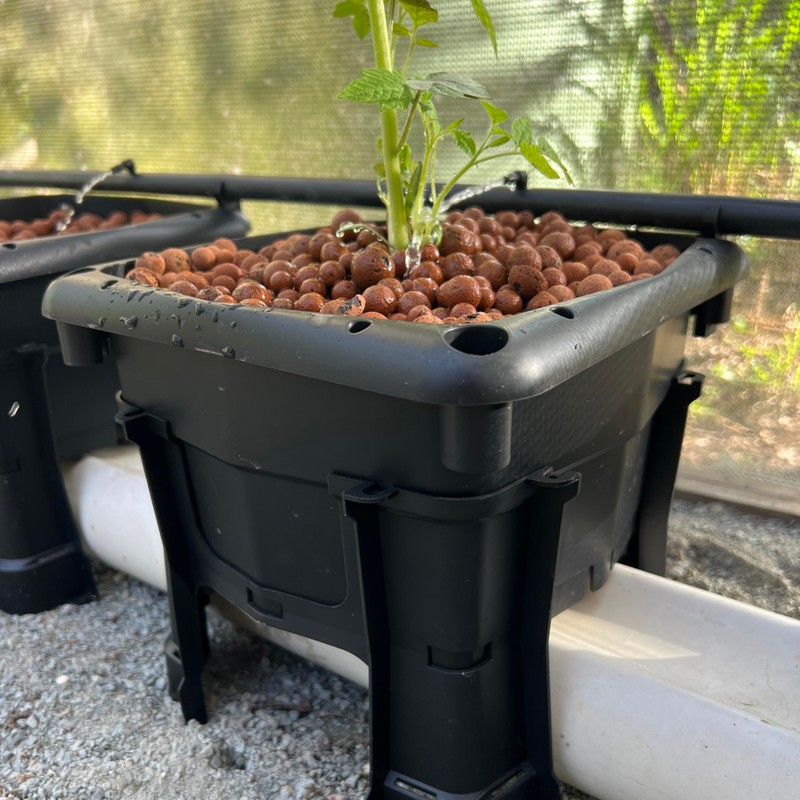 Hooch Multi Bucket Hydroponic System