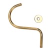 Stainless Steel S Shaped Raised Shower Arm and Flange NPT