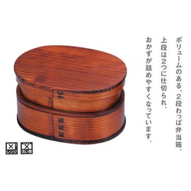 Takenaka T-66504 Wappa Lunch Box, 2-Tier, Oval 16.9 fl oz (480 ml)