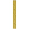 Fowler 52-349-006-0 Rigid Steel Rule with Titanium Coated Golden Finish,