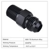 EVIL ENERGY 6AN Male Flare to 1/4" NPT Pipe Fitting
