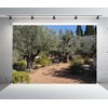 Loccor 9x6ft Fabric Ancient Olive Trees Backdrop Garden of Gethsemane