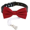 Dog Bow Tie ring bearer collar, Pet accessory, puppy lovers,