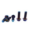 RISON-Titanium Hex Screws with Flange M8 x 1.25 x 25