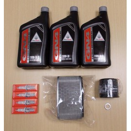 New 2004-2013 Honda VT 750 VT750 Shadow OE Complete Oil Service Tune-Up Kit