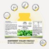 Gotu Kola 750 mg - 120 Tablets - High Dose