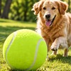 Giant Inflatable Tennis Ball for Dogs – 7 & 9.5