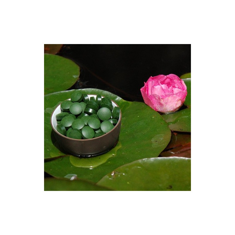 Chlorella Pyrenoidosa Tablets - Premium Quality 250 g of 250