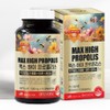 Jinshop PROPOLIS Propolis Zinc Immune Boosting Antioxidant Propolis 600MG 100