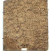 Walnut Burl Wood Veneer 20" x 21" raw no Backing