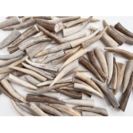 PEPPERLONELY Deer Antler Tips for Crafts Antler Tine Tips Crafts Points for Arts Crafts or Toggles (Natural, 3 Inches (10PC))