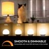 Prosperbiz E12 Dimmable 60W Equivalent LED Light Bulbs, A15 6W
