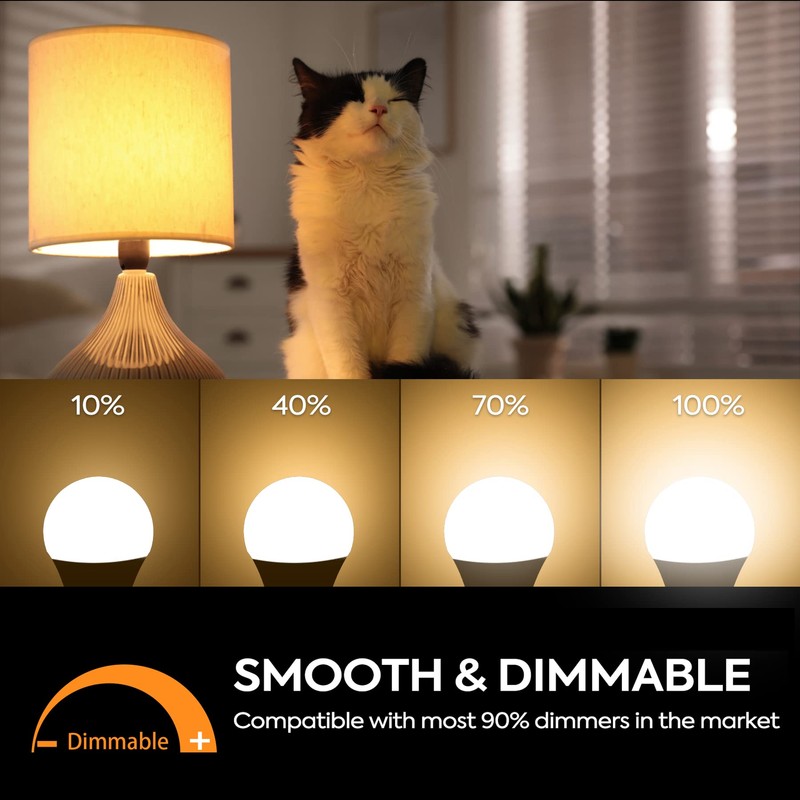 Prosperbiz E12 Dimmable 60W Equivalent LED Light Bulbs, A15 6W