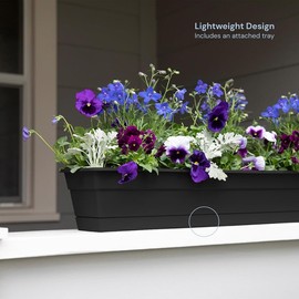 Bloem Dura Cotta Window Box Planter: 30" - Black - Large Box with Tray, Weatherproof Resin Box, Removable Tray for Indoor & Outdoor Use, Gardening, 4 Gallon Capacity