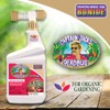 Bonide Captain Jack's Deadbug Brew, 32 oz Ready-to-Spray Outdoor Insecticide