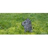 Eugy 3D Model: Wild Animal/Zebra 6x4.3x6.8cm, in Carton, boxed, 6+