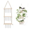 3 Tiered Wall Hanging Plant Terrarium with 12 Test Tubes