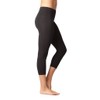 Yogalicious High Waist Ultra Soft Lightweight Capris - High Rise