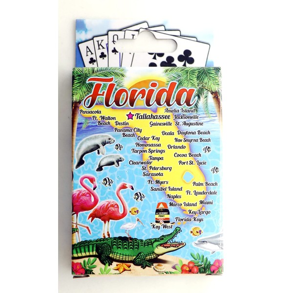 World By Shotglass Florida Map New Collectible Souvenir Playing Cards
