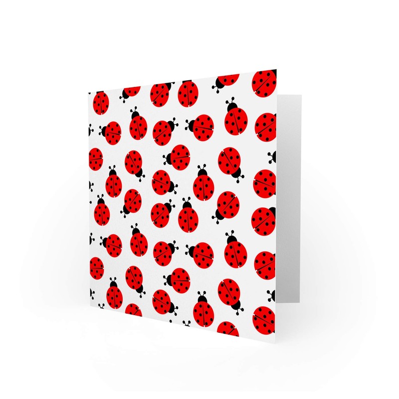 Ladybug Birthday Card - Spotty Ladybird