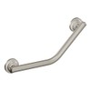 Moen Brushed Nickel Bathroom Safety 16-Inch Stainless Steel Angled Shower