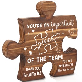 Team Member Appreciation Gifts, Puzzle Piece Thank You Sign, Employee Recognition Gifts for Colleagues AXX25