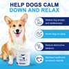 NooraTail Calming Chews for Dogs, Help to Support Relaxation and
