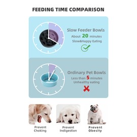 HAOTOP Ceramic Fun Slow Feeder Bowl, Porcelain Slow Eater Bowl for Medium Sized Dogs (Black)