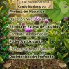 Té Vida natura Cardo Mariano, diente de león, boldo 150grs