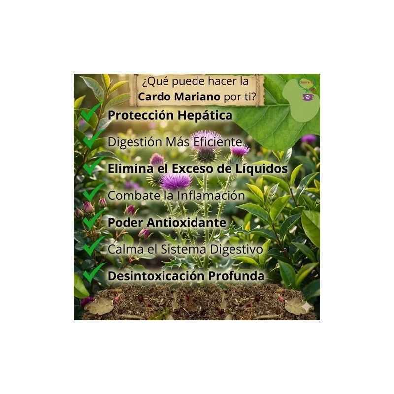 Té Vida natura Cardo Mariano, diente de león, boldo 150grs