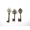 Aokbean Mixed Set of 30 Large Skeleton Keys in Antique