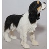 Leonardo Collection Tri-Colour Cavalier King Charles Spaniel, Stone, Black, 14