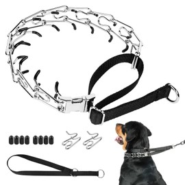 Mayerzon Martingale Prong Collar for Large Medium Dogs that Pull