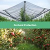 WindscreenSupplyCo Protection Cover 12 Ft. x 12 Ft. Garden Netting