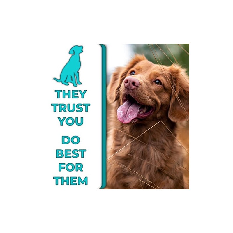 H&H Pets 2-Sided Grooming Brush Kit for Dogs & Cats