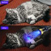 DARKBEAM 365nm UV Flashlight Black Light with Filter, Powerful Blacklight