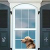 Toogod Riders Golden Retriever Car Sticker Window Decal for Vehicles
