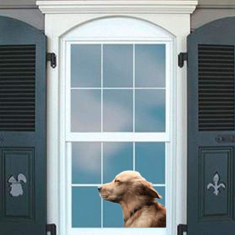 Toogod Riders Golden Retriever Car Sticker Window Decal for Vehicles