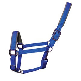 Woof Wear Contour Head Collar & Lead Rope Set ELECTRIC BLUE (Pony)