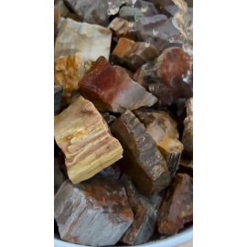 Petrified Wood - Large Rough Rocks for Tumbling - Bulk Wholesale 1LB options - 11 Pounds