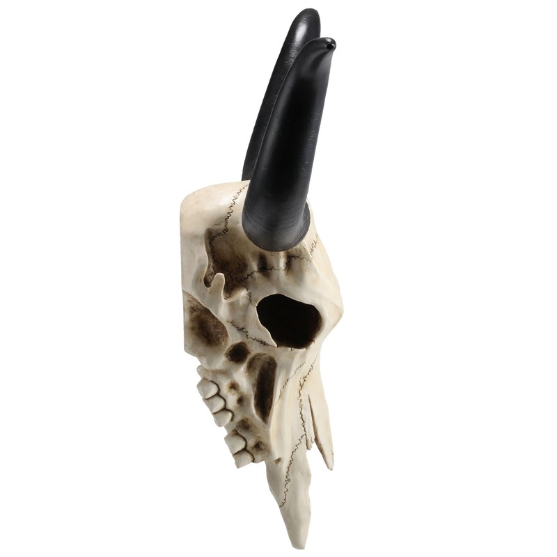 Veronese Design 14 Inch Long Horn Animal Skull Resin Wall