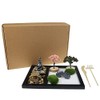 ZEN&TAO Japanese Zen Garden, Black Tray with Two Trees, Two