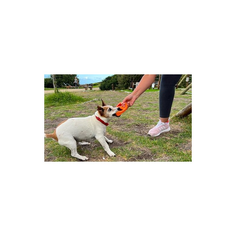 Van Ness Pets Doggi Catch and Carry Flying Disc Floating