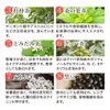 Otokusen Reduced Composting Tea, Set of 3, 0.1 oz (3