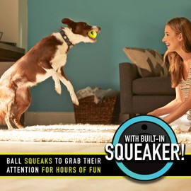 Franklin Pet Supply Squeaky - Ready Set Fetch Dog Toy Tennis Balls with Squeaker - Perfect Pet Toy for Small, Medium + Large Dogs - 3 Pack