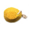 Basicare Bath Sponge (Sea Sponge Shaped) with Hanging Cord