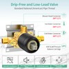 SR SUN RISE 6-Spray Shower Faucet 3-Way Combo Shower Head