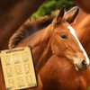 Metal Sign with Dressage Riding Hoof Strike Motif