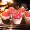 Funtery 600 Pcs Mini Size Tulip Cupcake Liners Mini Baking