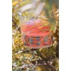 Natura Siberica Oblepikha C-Berrica Radiance Face Pads - Face Pads